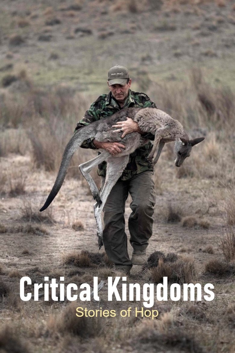 Critical Kingdoms - Stories of Hope Poster of Critical Kingdoms - Stories of Hope