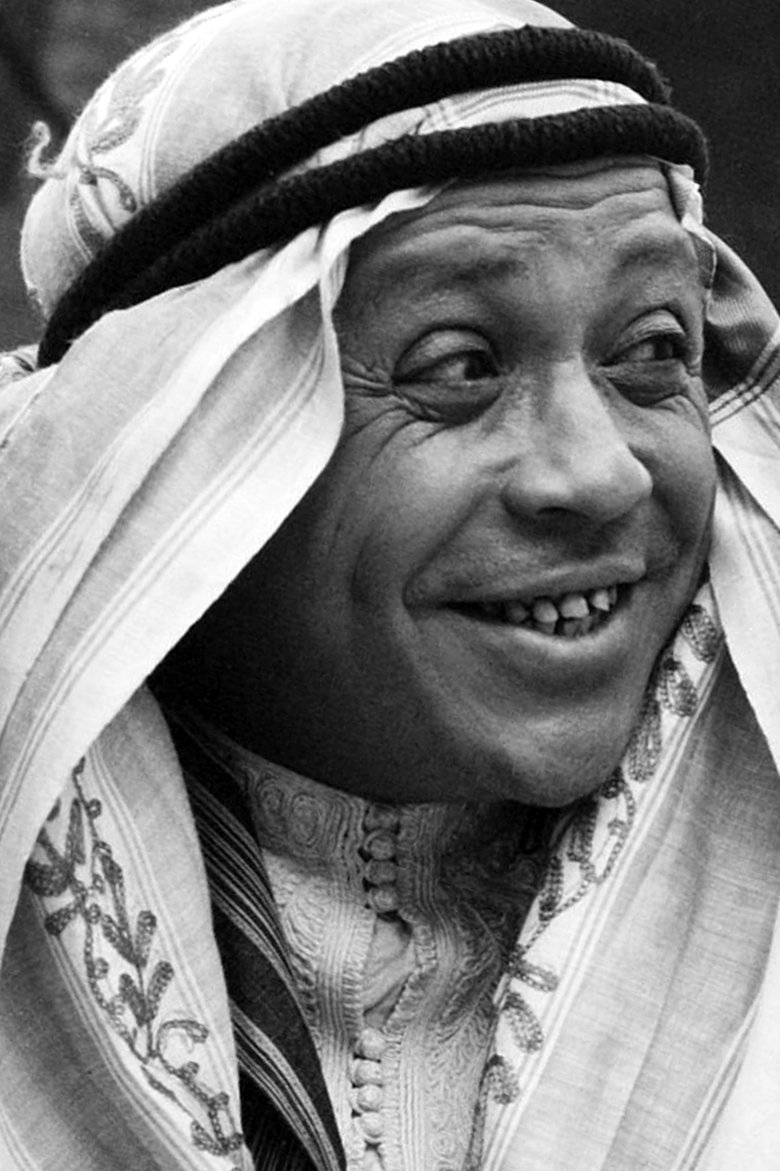 Hédi Semlali Portrait of Hédi Semlali
