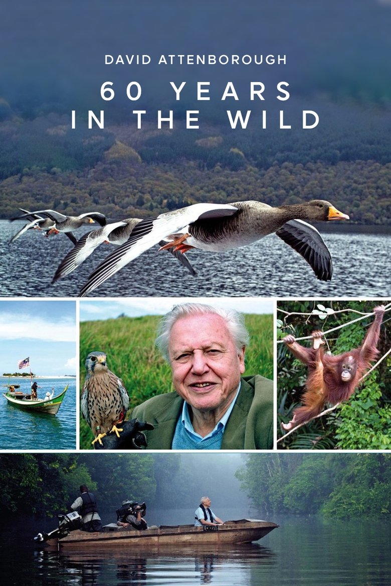 Episodes in Attenborough 60 Years In The Wild - Season 1 - Season 1 Poster of Episodes in Attenborough 60 Years In The Wild - Season 1 - Season 1