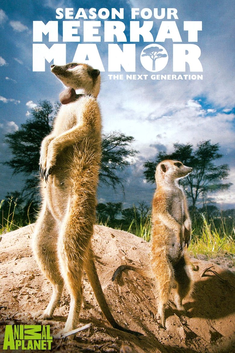 Episodes in Meerkat Manor - The Next Generation - The Next Generation Poster of Episodes in Meerkat Manor - The Next Generation - The Next Generation