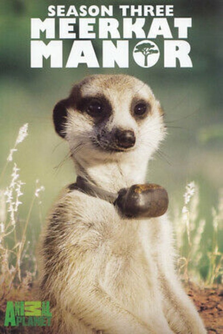 Episodes in Meerkat Manor - Season 3 - Season 3 Poster of Episodes in Meerkat Manor - Season 3 - Season 3