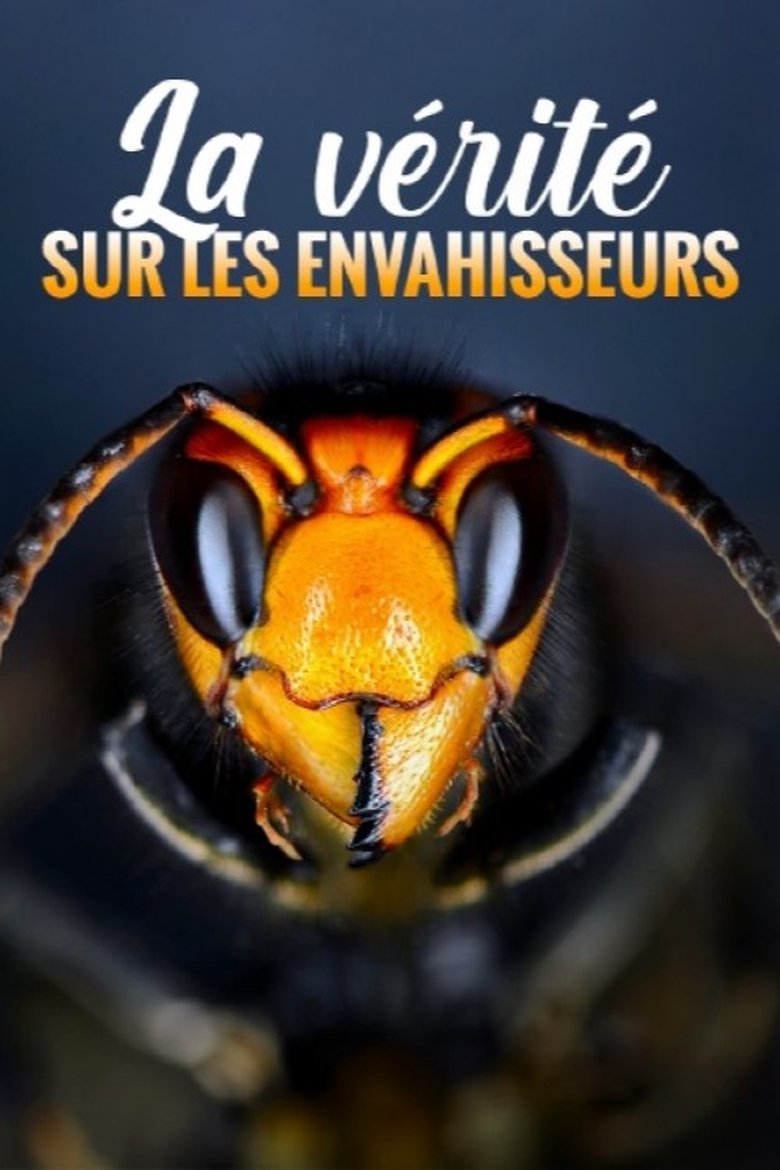 La vérité sur les envahisseurs Poster of La vérité sur les envahisseurs