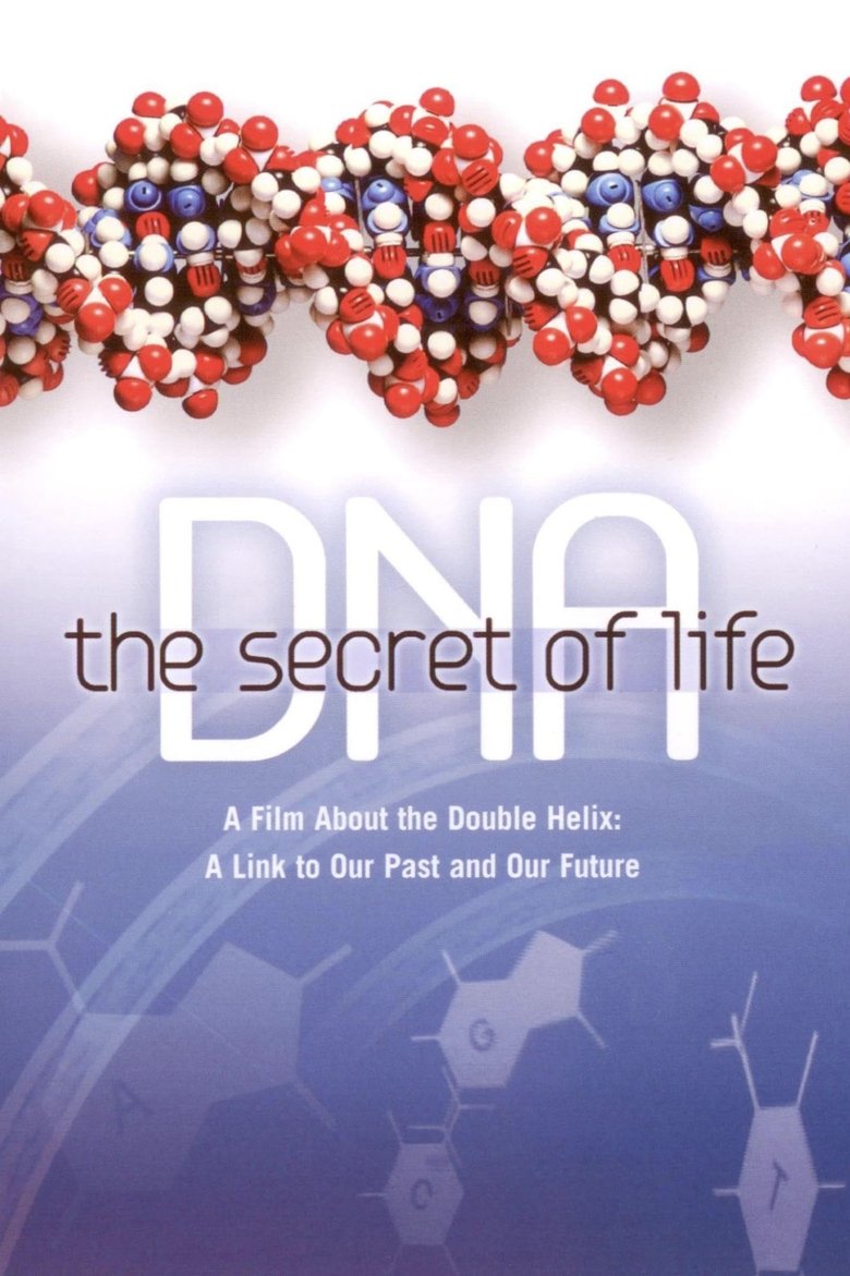 DNA Poster of DNA