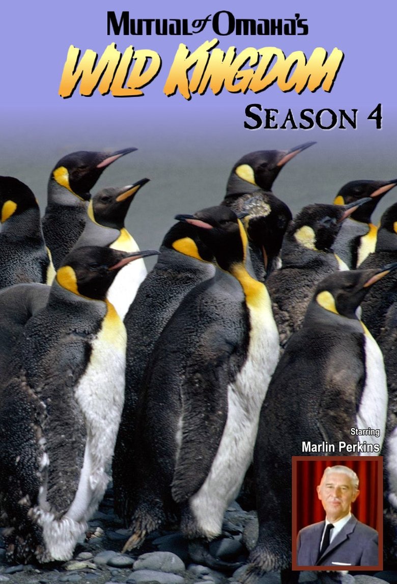 Episodes in Mutual Of Omaha's Wild Kingdom - Season 4 - Season 4 Poster of Episodes in Mutual Of Omaha's Wild Kingdom - Season 4 - Season 4