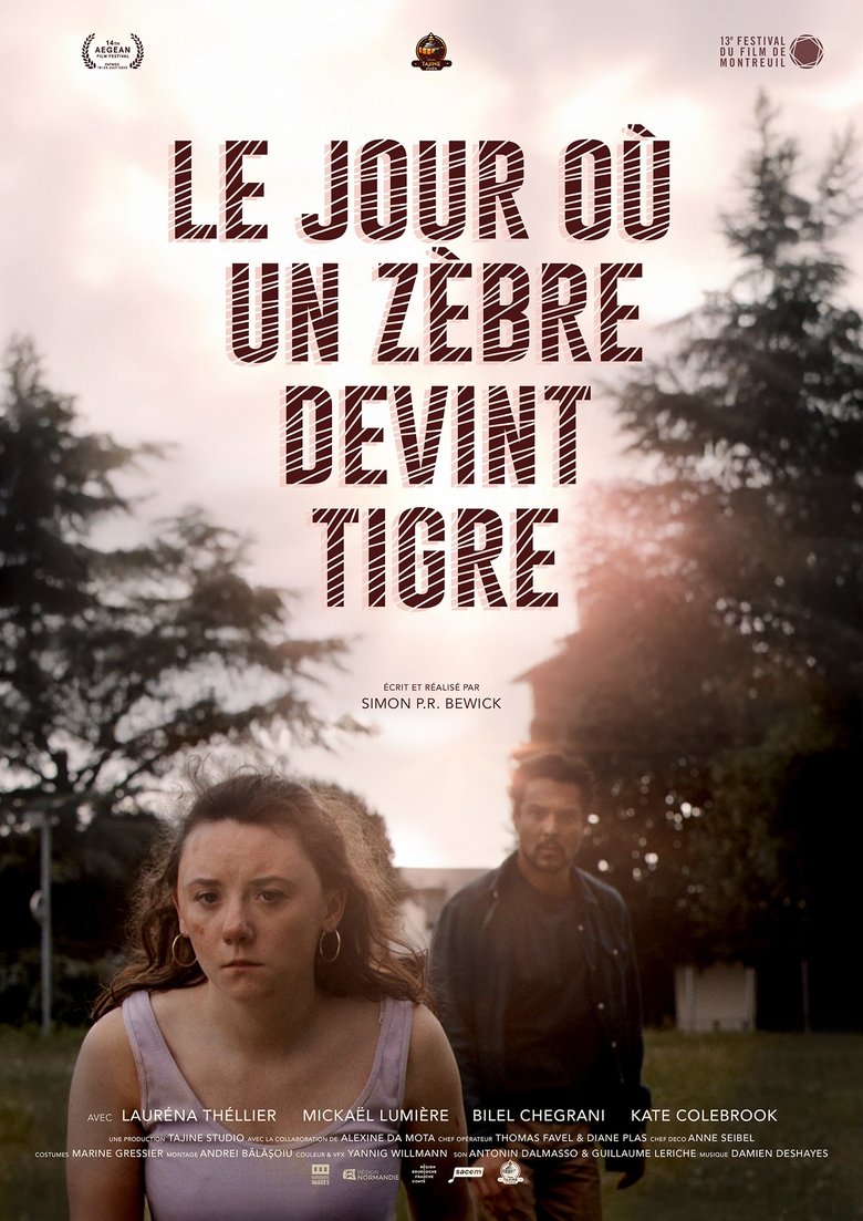Le jour où un zèbre devint tigre Poster of Le jour où un zèbre devint tigre
