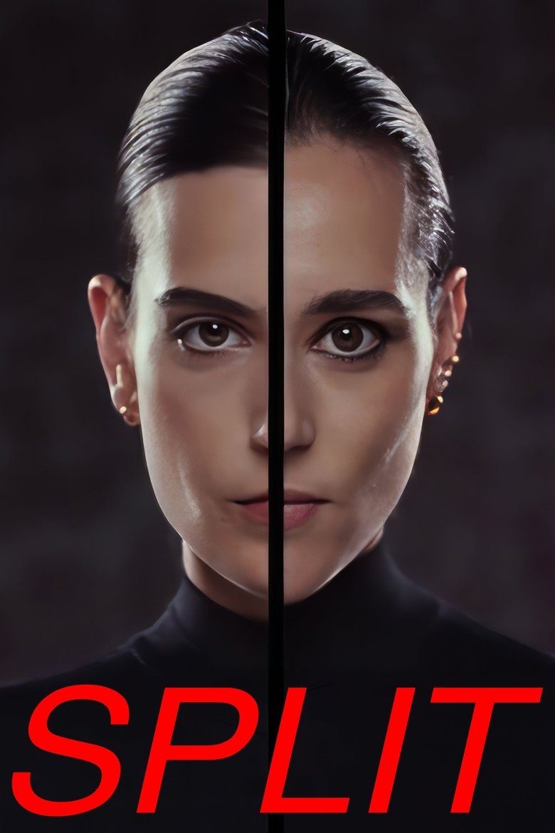 Split Poster of Split
