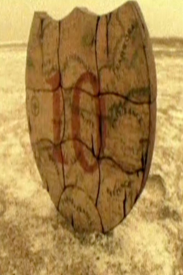 Episodes in Road Rules - The Quest (For the Crest) - The Quest (For the Crest) Poster of Episodes in Road Rules - The Quest (For the Crest) - The Quest (For the Crest)