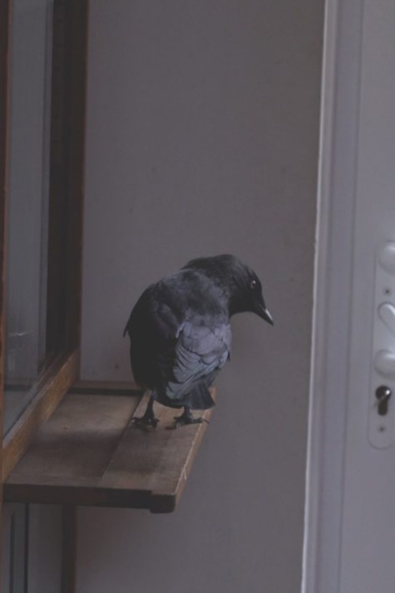 Mirror Test Poster of Mirror Test