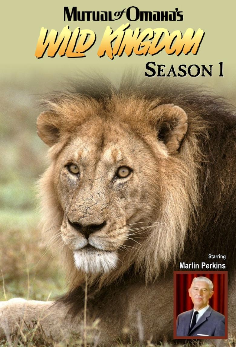 Episodes in Mutual Of Omaha's Wild Kingdom - Season 1 - Season 1 Poster of Episodes in Mutual Of Omaha's Wild Kingdom - Season 1 - Season 1