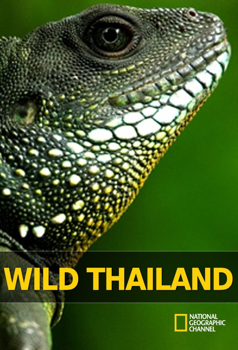 Wild Thailand Poster of Wild Thailand