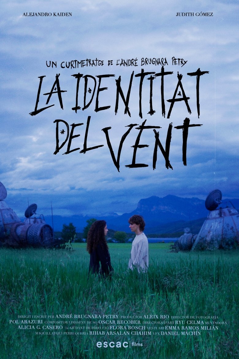 La identitat del vent Poster of La identitat del vent