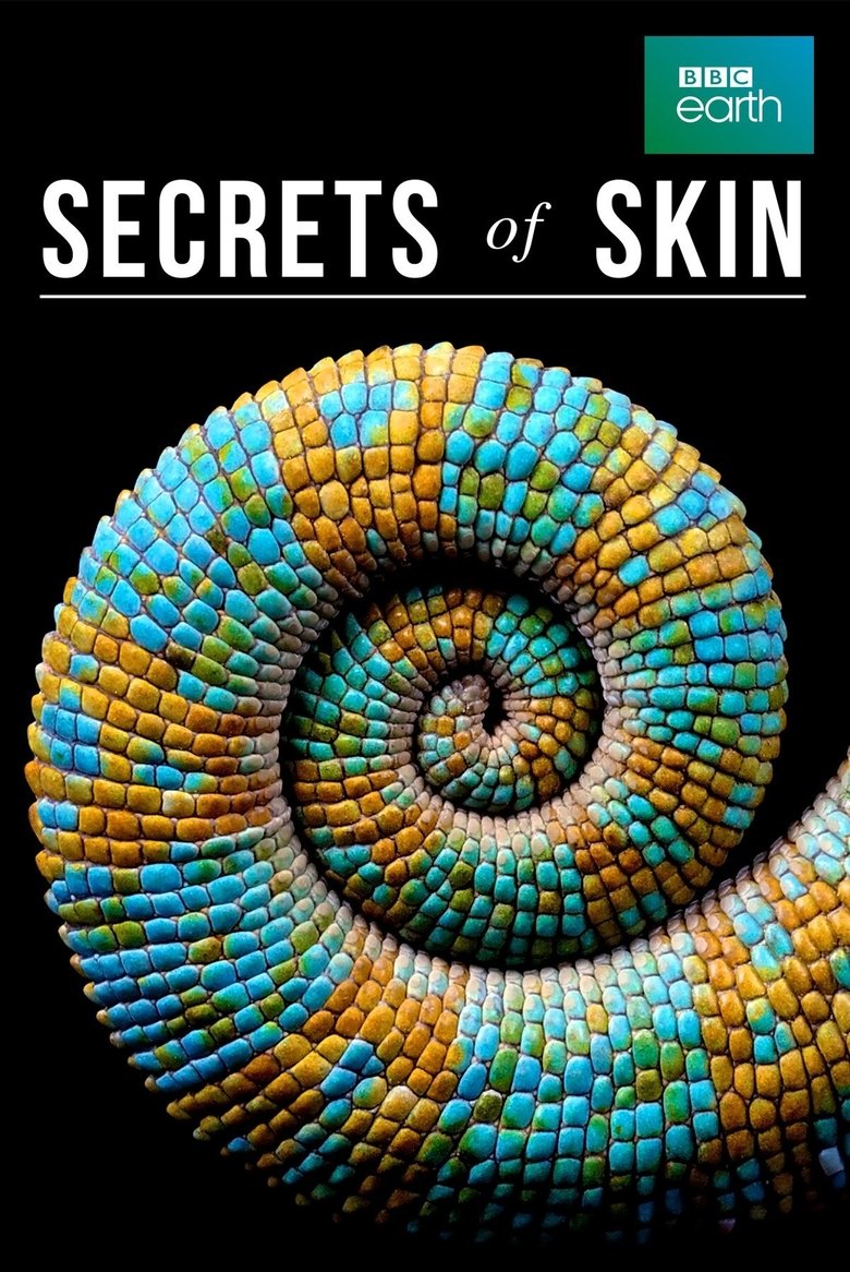 Episodes in Secrets Of Skin - Season 1 - Season 1 Poster of Episodes in Secrets Of Skin - Season 1 - Season 1