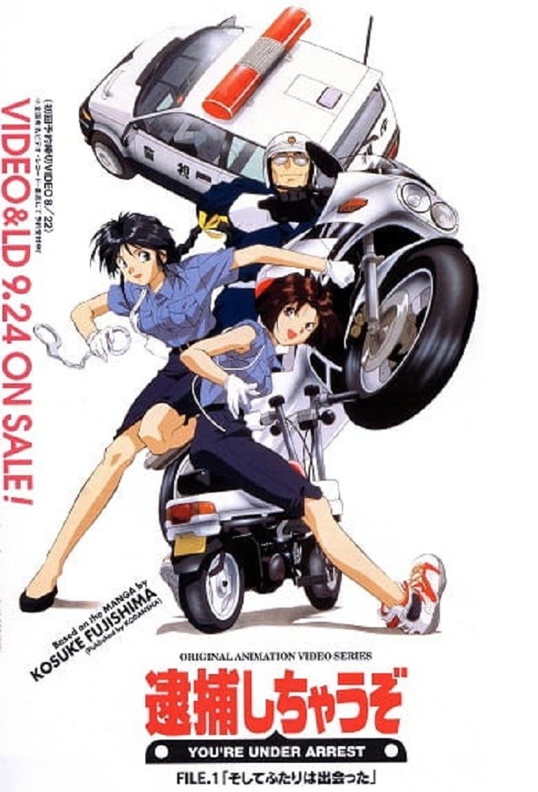 You're Under Arrest Poster of You're Under Arrest