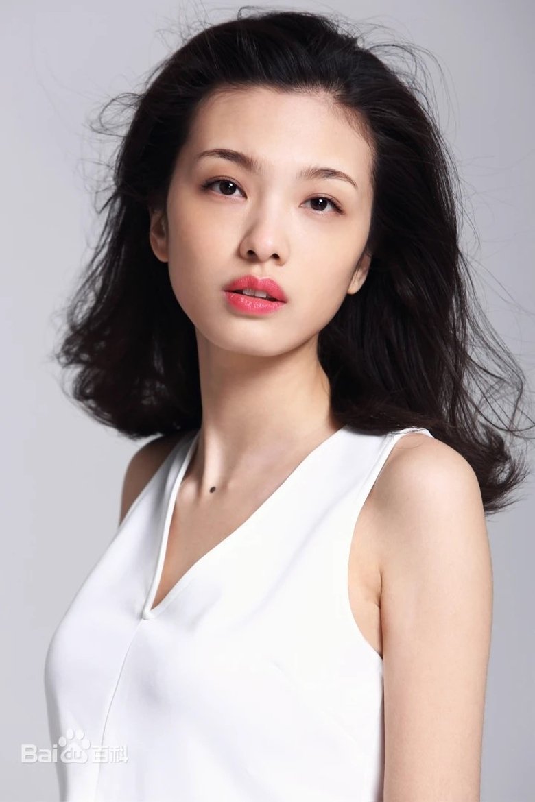 Zhang Yangzhizi Portrait of Zhang Yangzhizi