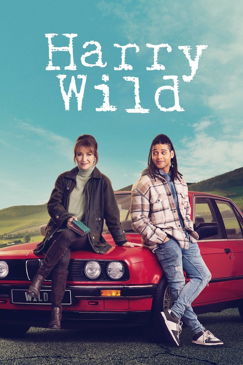 Episodes in Harry Wild - Season 3 - Season 3 Poster of Episodes in Harry Wild - Season 3 - Season 3