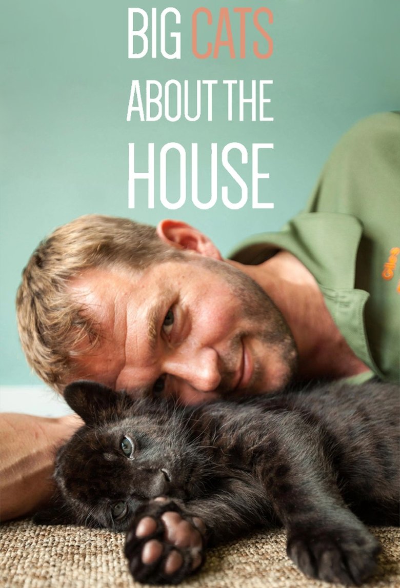 Episodes in Big Cats About The House - Season 1 - Season 1 Poster of Episodes in Big Cats About The House - Season 1 - Season 1