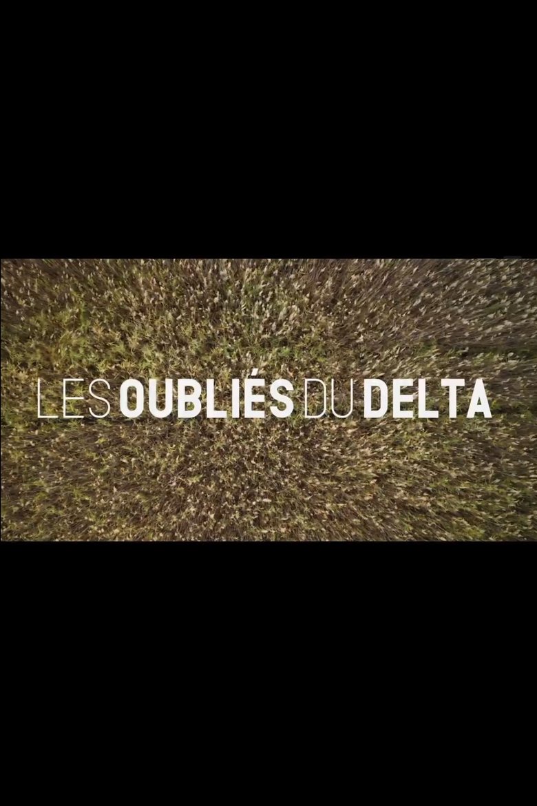 Les oubliés du Delta Poster of Les oubliés du Delta