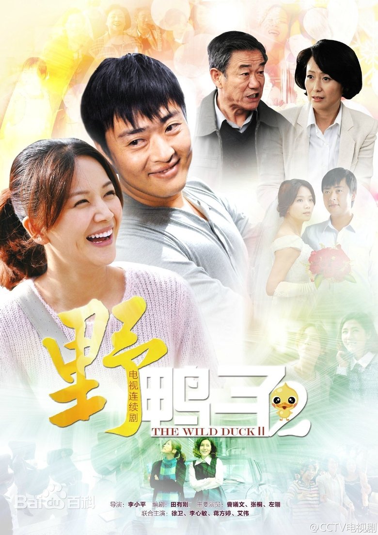 野鸭子 Poster of 野鸭子