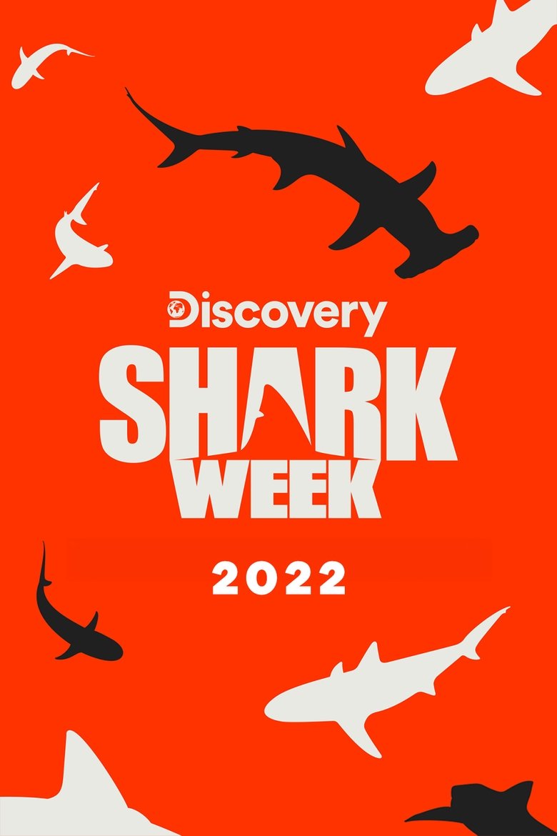 Cast and Crew in Shark Week - Shark Rober (Season 35 - Episode 21) - Shark Rober Poster of Cast and Crew in Shark Week - Shark Rober (Season 35 - Episode 21) - Shark Rober