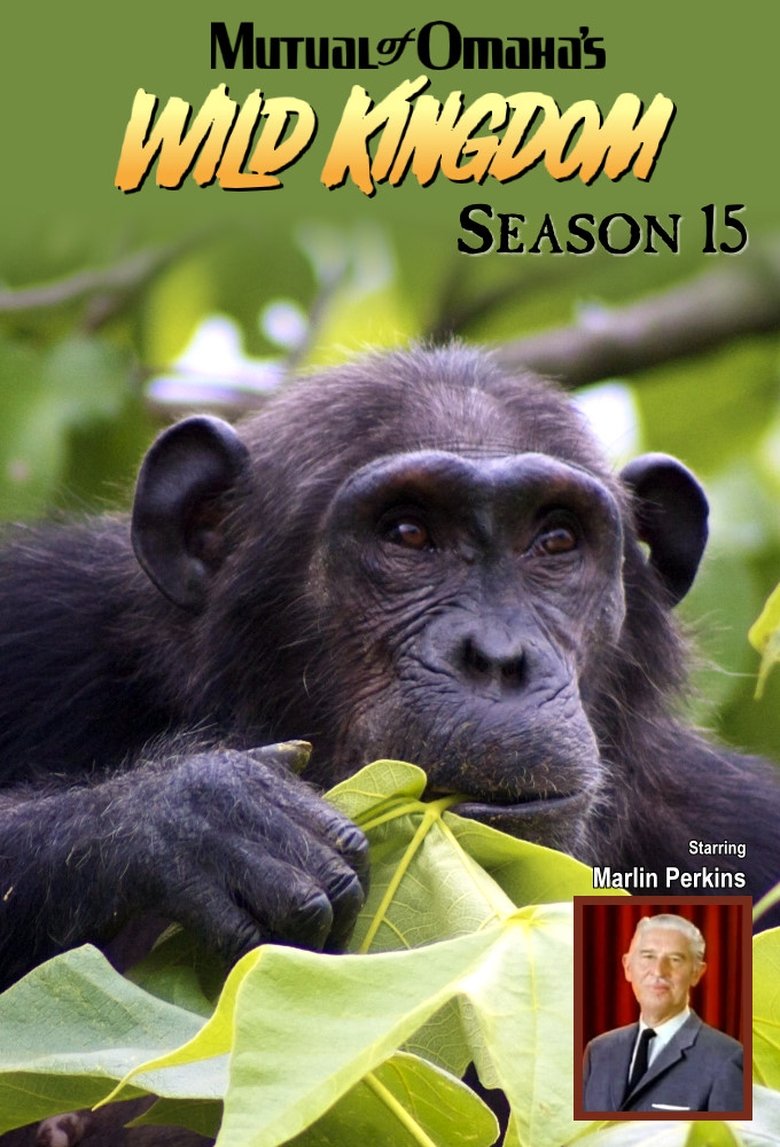 Episodes in Mutual Of Omaha's Wild Kingdom - Season 15 - Season 15 Poster of Episodes in Mutual Of Omaha's Wild Kingdom - Season 15 - Season 15