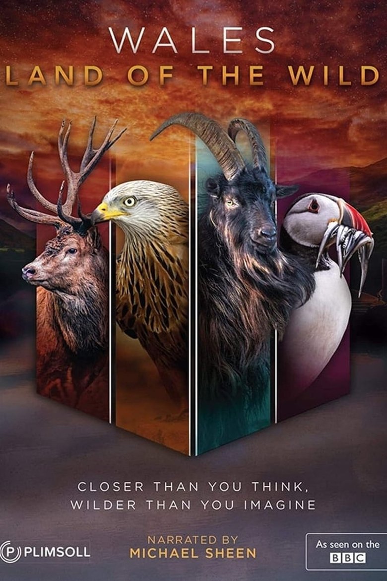 Episodes in Wales Land Of The Wild - Season 1 - Season 1 Poster of Episodes in Wales Land Of The Wild - Season 1 - Season 1
