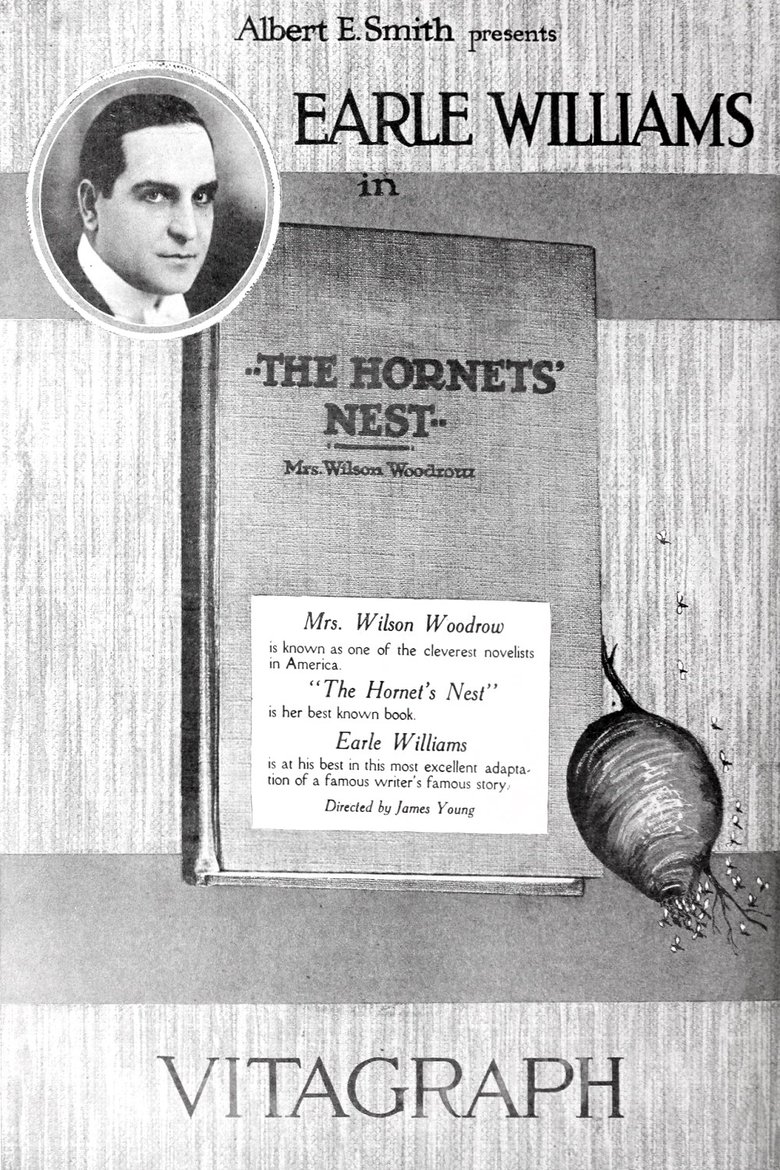 Hornet's Nest Poster of Hornet's Nest