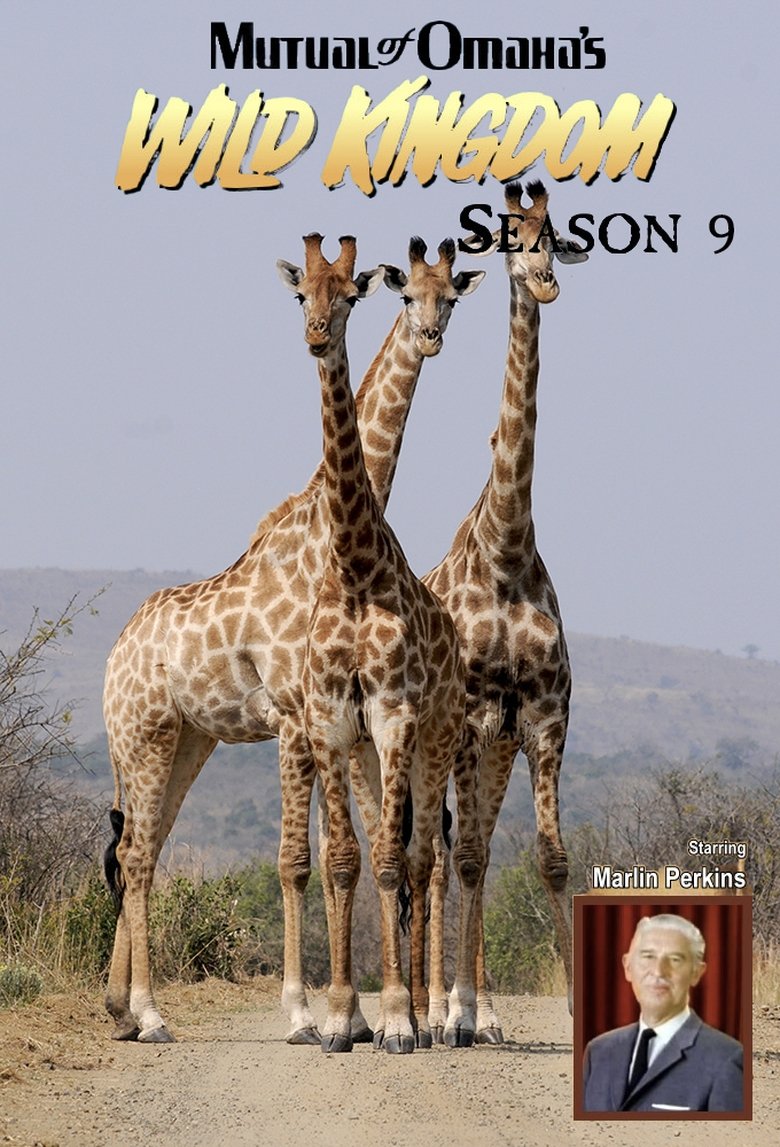Episodes in Mutual Of Omaha's Wild Kingdom - Season 9 - Season 9 Poster of Episodes in Mutual Of Omaha's Wild Kingdom - Season 9 - Season 9