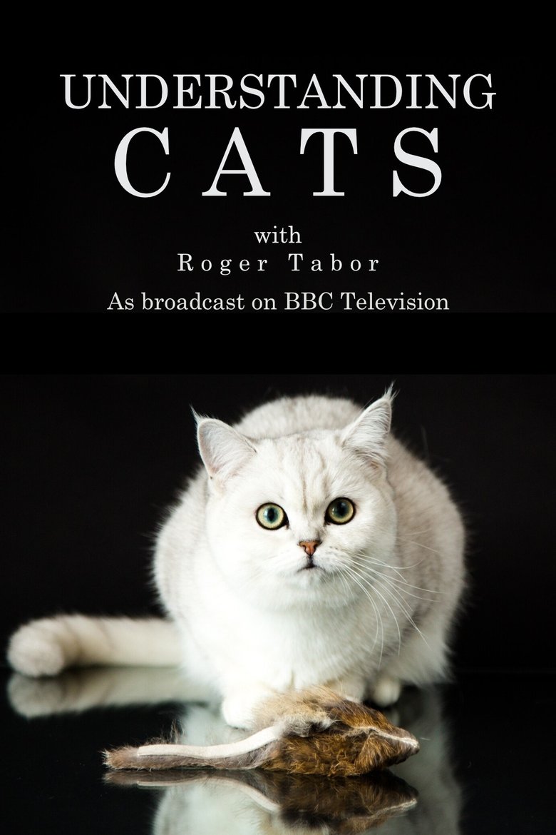Understanding Cats Poster of Understanding Cats