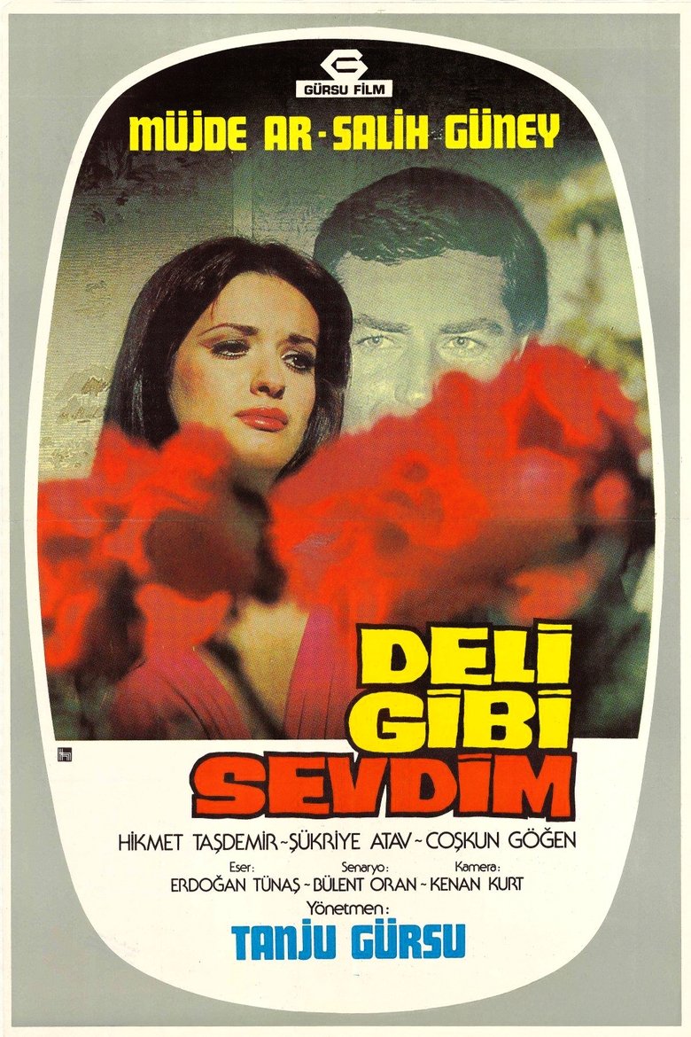 Deli Gibi Sevdim Poster of Deli Gibi Sevdim