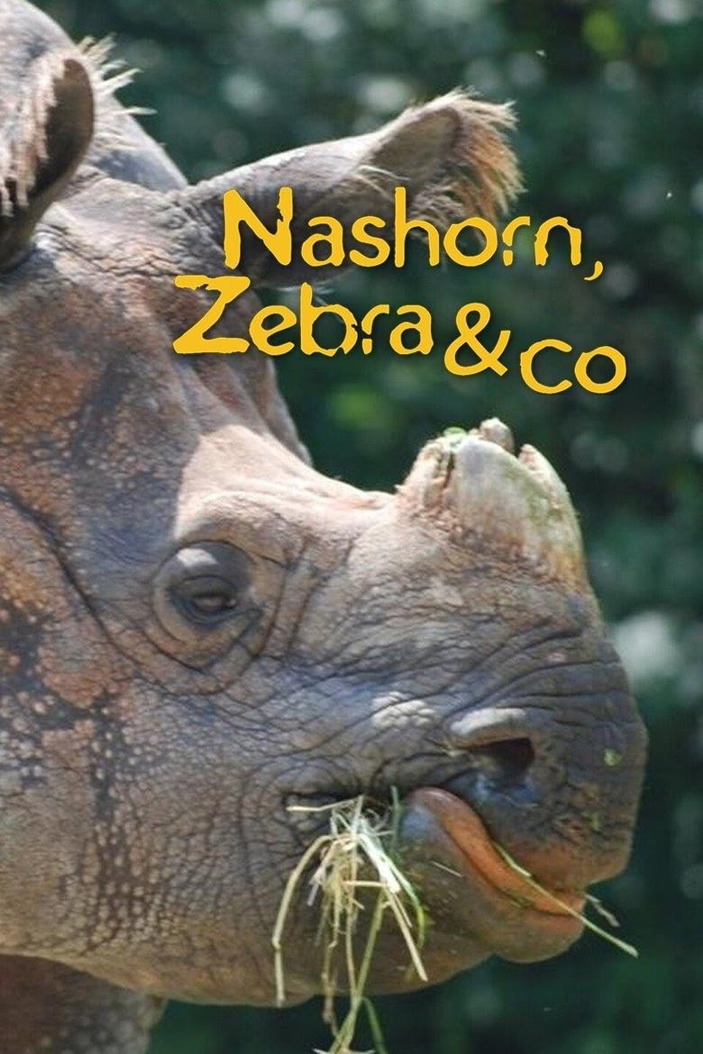 Nashorn, Zebra & Co. Poster of Nashorn, Zebra & Co.