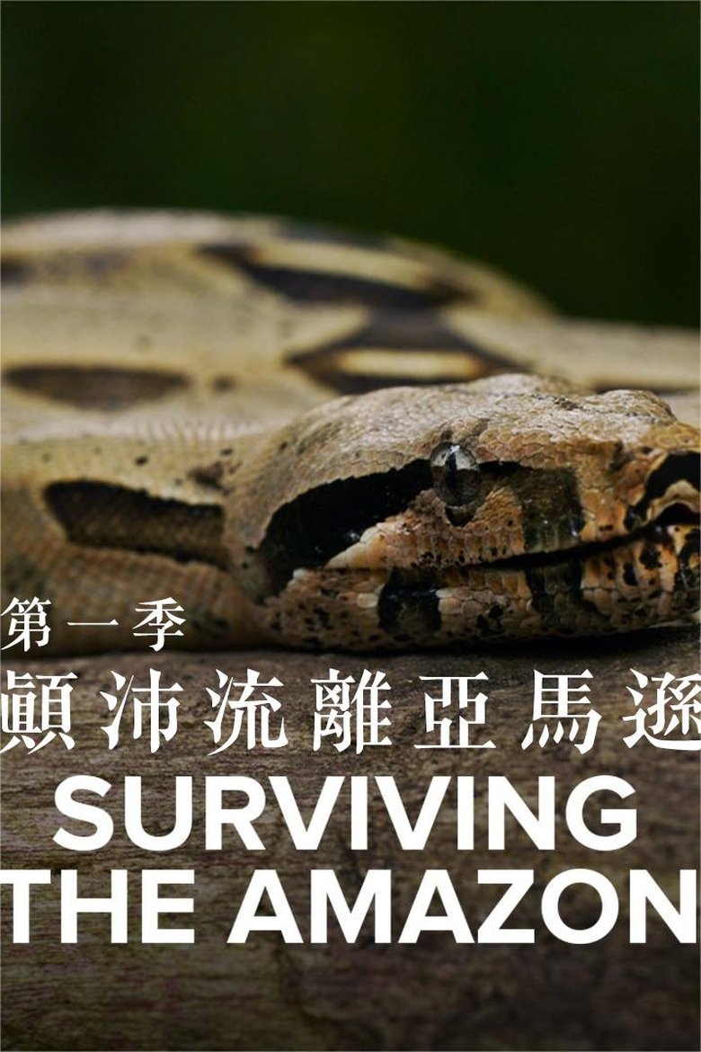 Episodes in Surviving The Amazon - Season 1 - Season 1 Poster of Episodes in Surviving The Amazon - Season 1 - Season 1