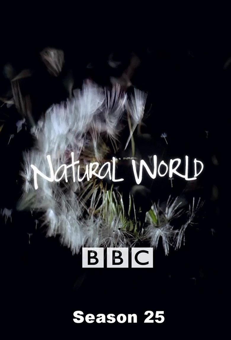 Episodes in Natural World - Season 25 - Season 25 Poster of Episodes in Natural World - Season 25 - Season 25