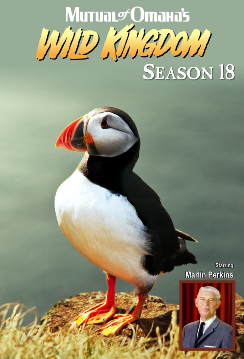 Episodes in Mutual Of Omaha's Wild Kingdom - Season 18 - Season 18 Poster of Episodes in Mutual Of Omaha's Wild Kingdom - Season 18 - Season 18