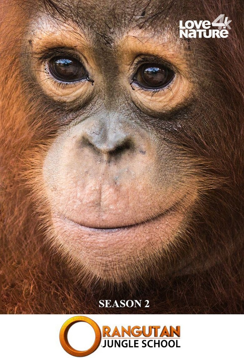 Episodes in Orangutan Jungle School - Season 2 - Season 2 Poster of Episodes in Orangutan Jungle School - Season 2 - Season 2