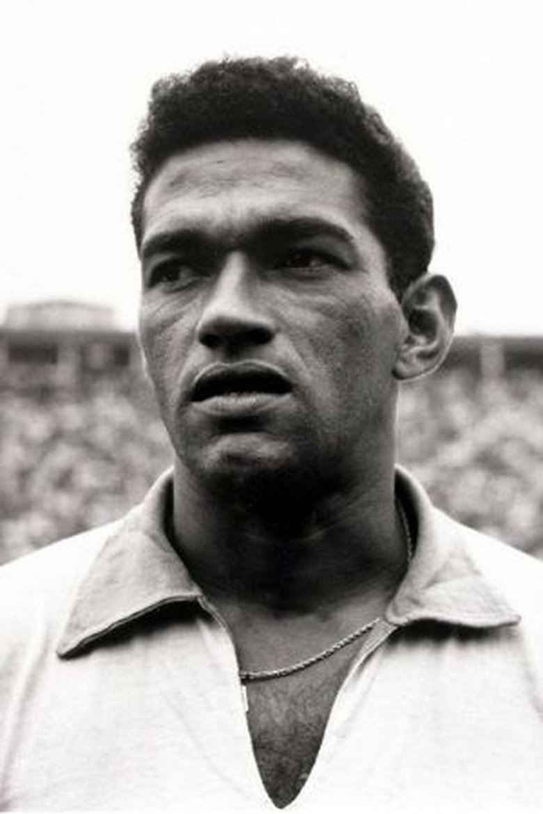 Garrincha Portrait of Garrincha