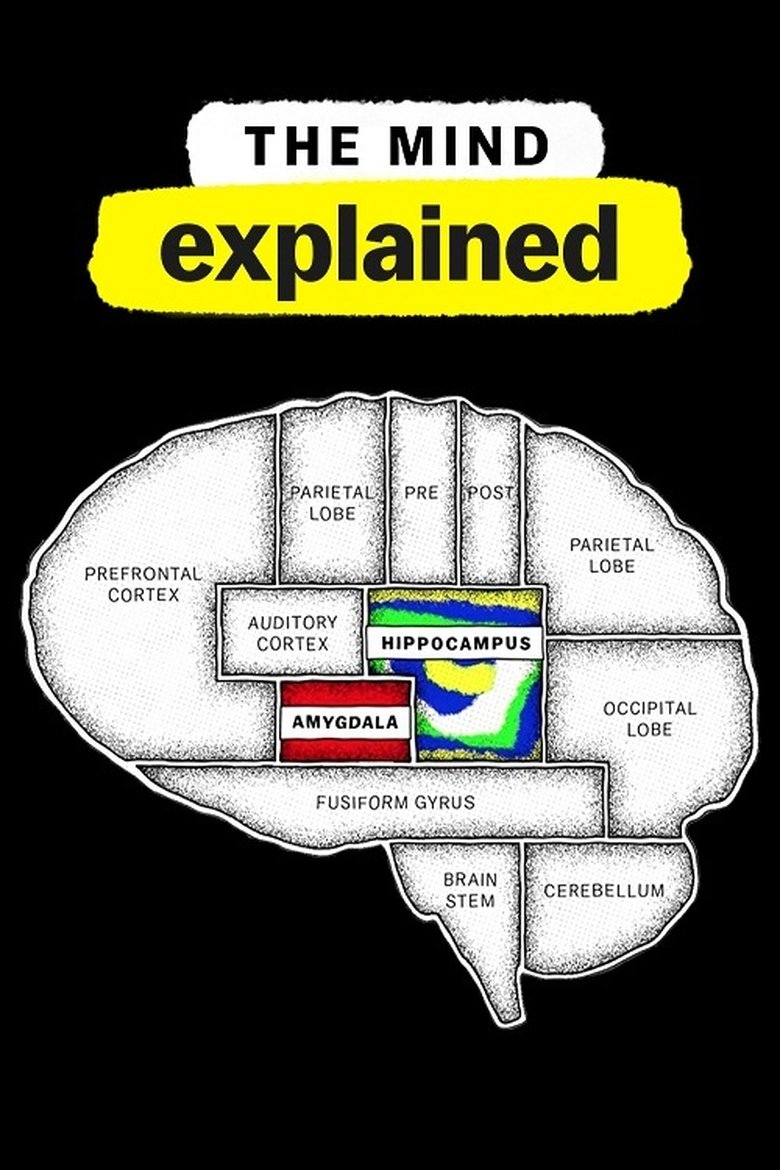 Episodes in The Mind, Explained - Season 2 - Season 2 Poster of Episodes in The Mind, Explained - Season 2 - Season 2