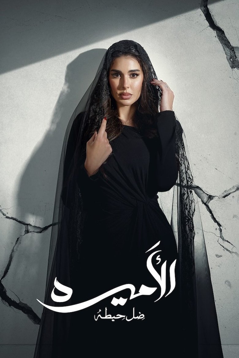 The Princess: Shadow of A Wall Poster of The Princess: Shadow of A Wall