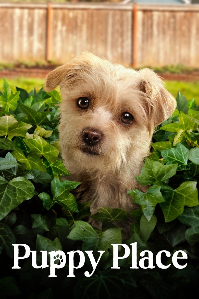 Episodes in Puppy Place - Season 2 - Season 2 Poster of Episodes in Puppy Place - Season 2 - Season 2