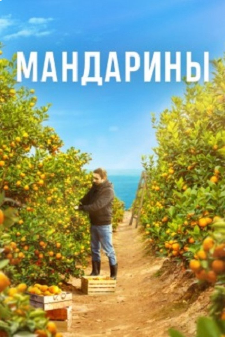 Mandarins Poster of Mandarins