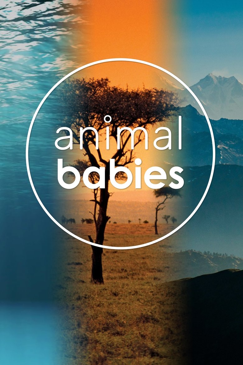 Episodes in Animal Babies - Miniseries - Miniseries Poster of Episodes in Animal Babies - Miniseries - Miniseries