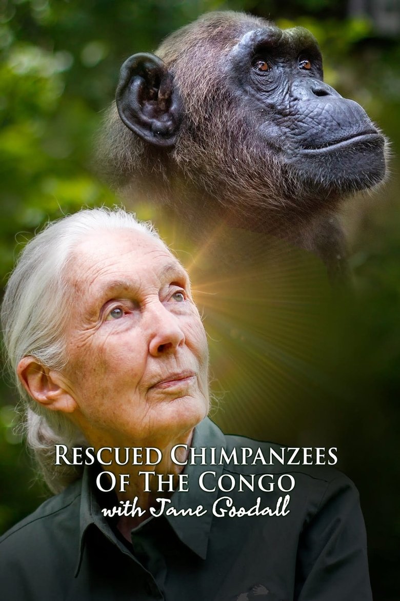 Episodes in Rescued Chimpanzees Of The Congo With Jane Goodall - Season 1 - Season 1 Poster of Episodes in Rescued Chimpanzees Of The Congo With Jane Goodall - Season 1 - Season 1