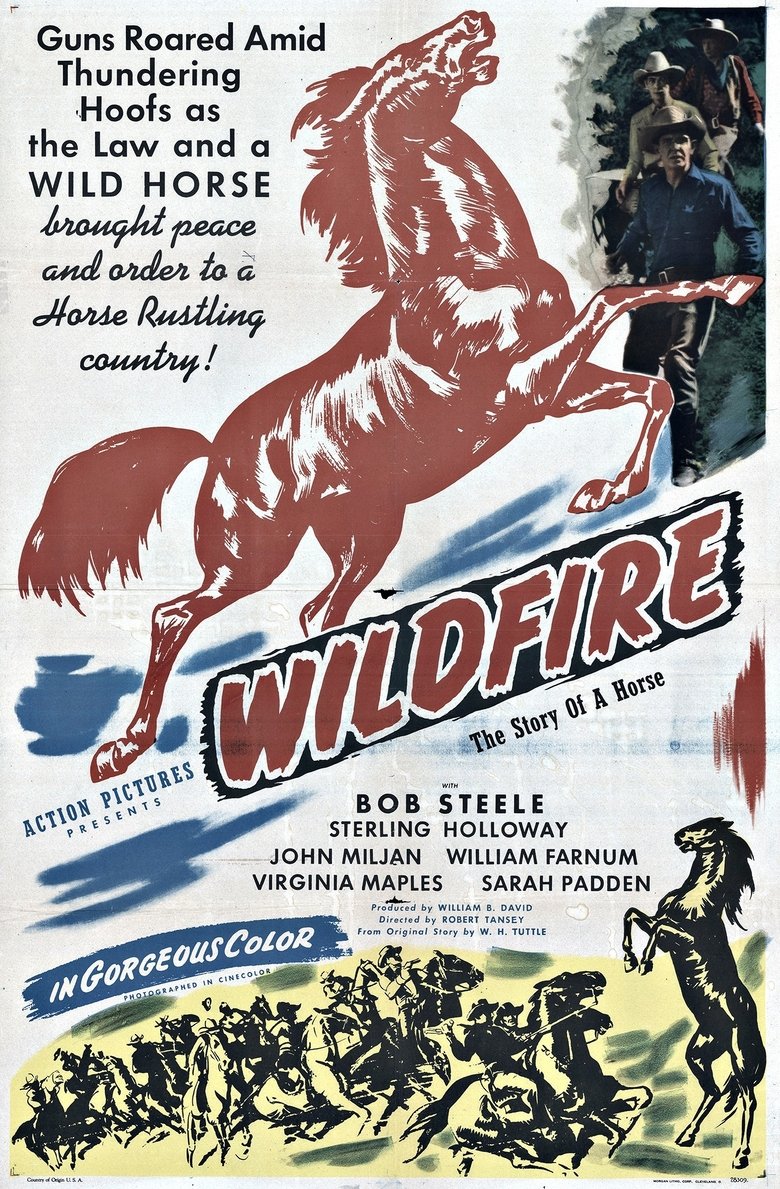 Wildfire Poster of Wildfire