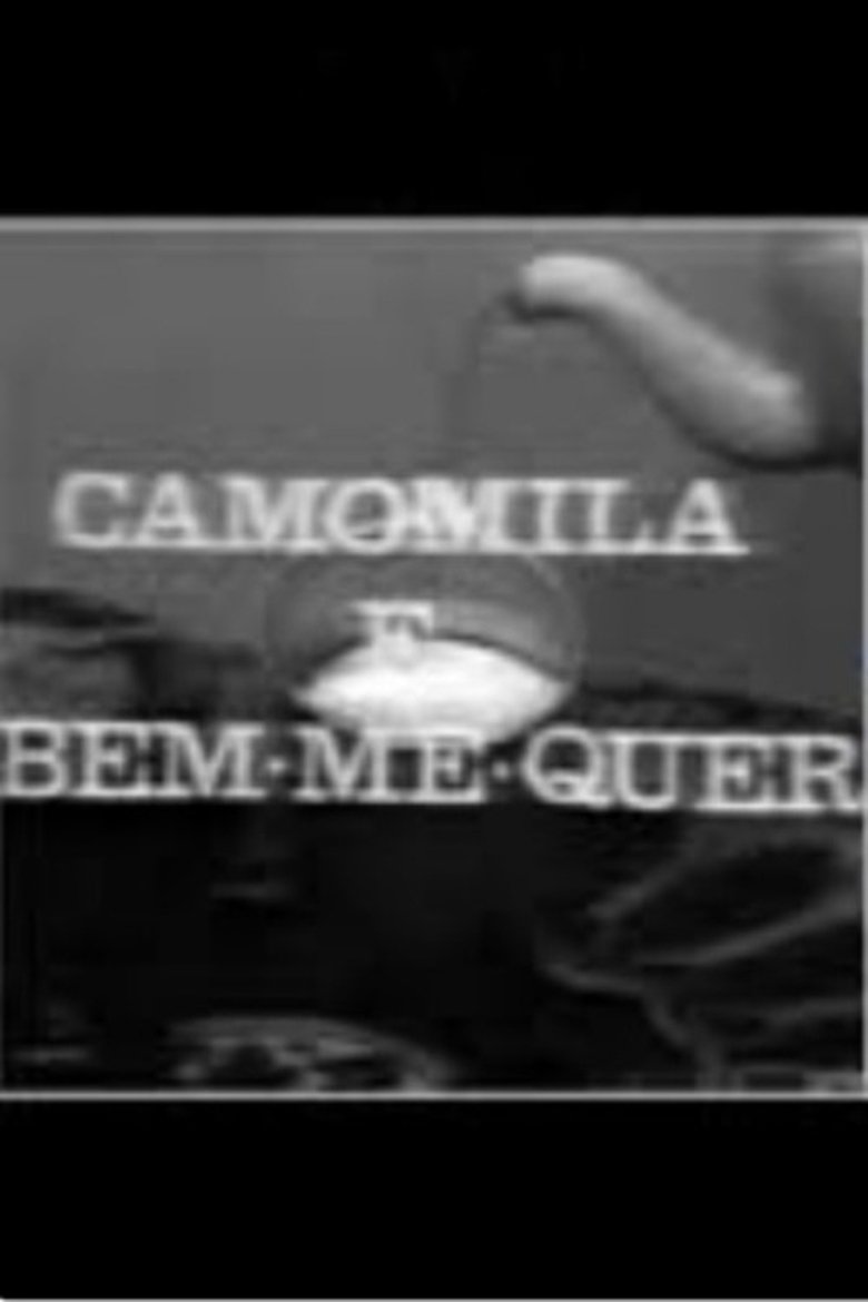 Camomila e Bem-Me-Quer Poster of Camomila e Bem-Me-Quer