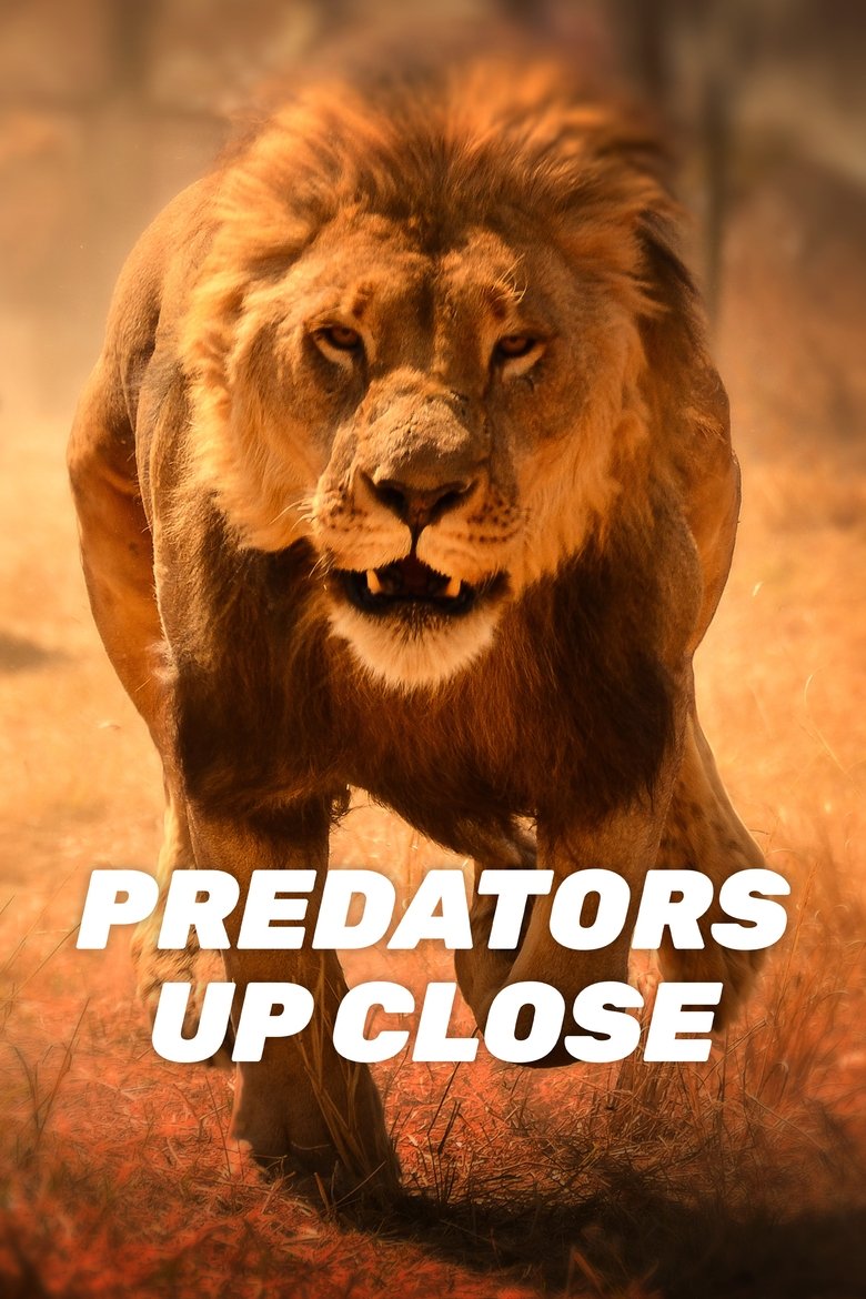 Episodes in Predators Up Close With Joel Lambert - Season 1 - Season 1 Poster of Episodes in Predators Up Close With Joel Lambert - Season 1 - Season 1