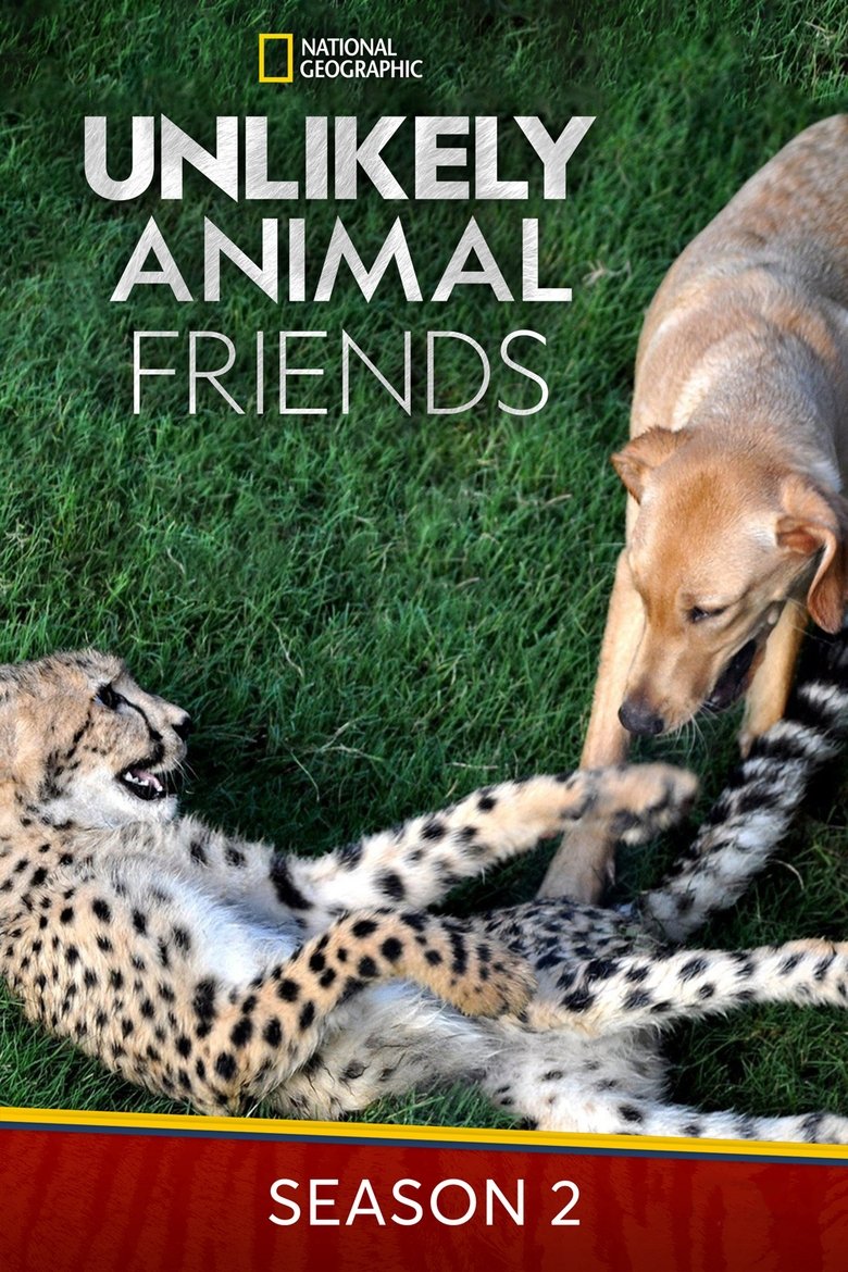 Episodes in Unlikely Animal Friends - Season 2 - Season 2 Poster of Episodes in Unlikely Animal Friends - Season 2 - Season 2