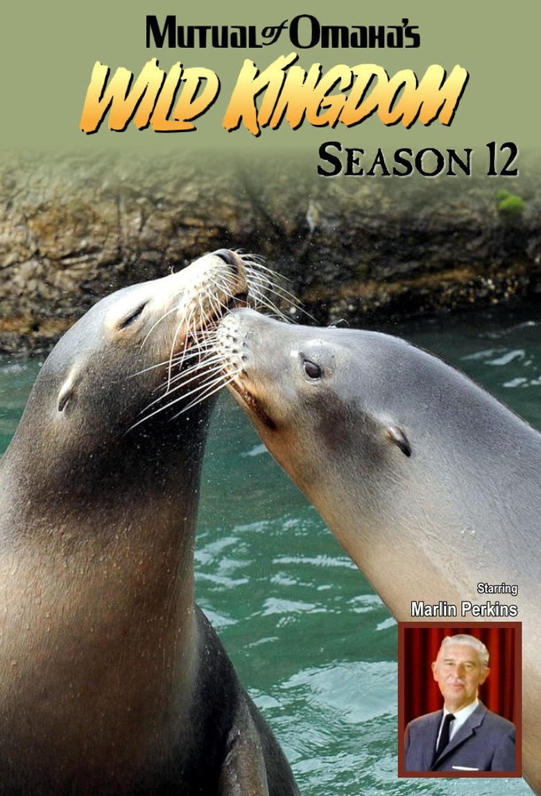 Episodes in Mutual Of Omaha's Wild Kingdom - Season 12 - Season 12 Poster of Episodes in Mutual Of Omaha's Wild Kingdom - Season 12 - Season 12