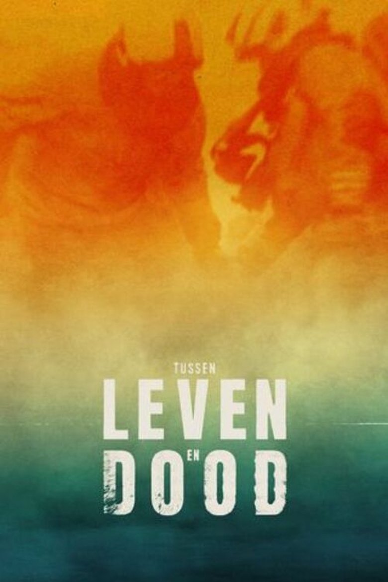 Tussen Leven en Dood Poster of Tussen Leven en Dood