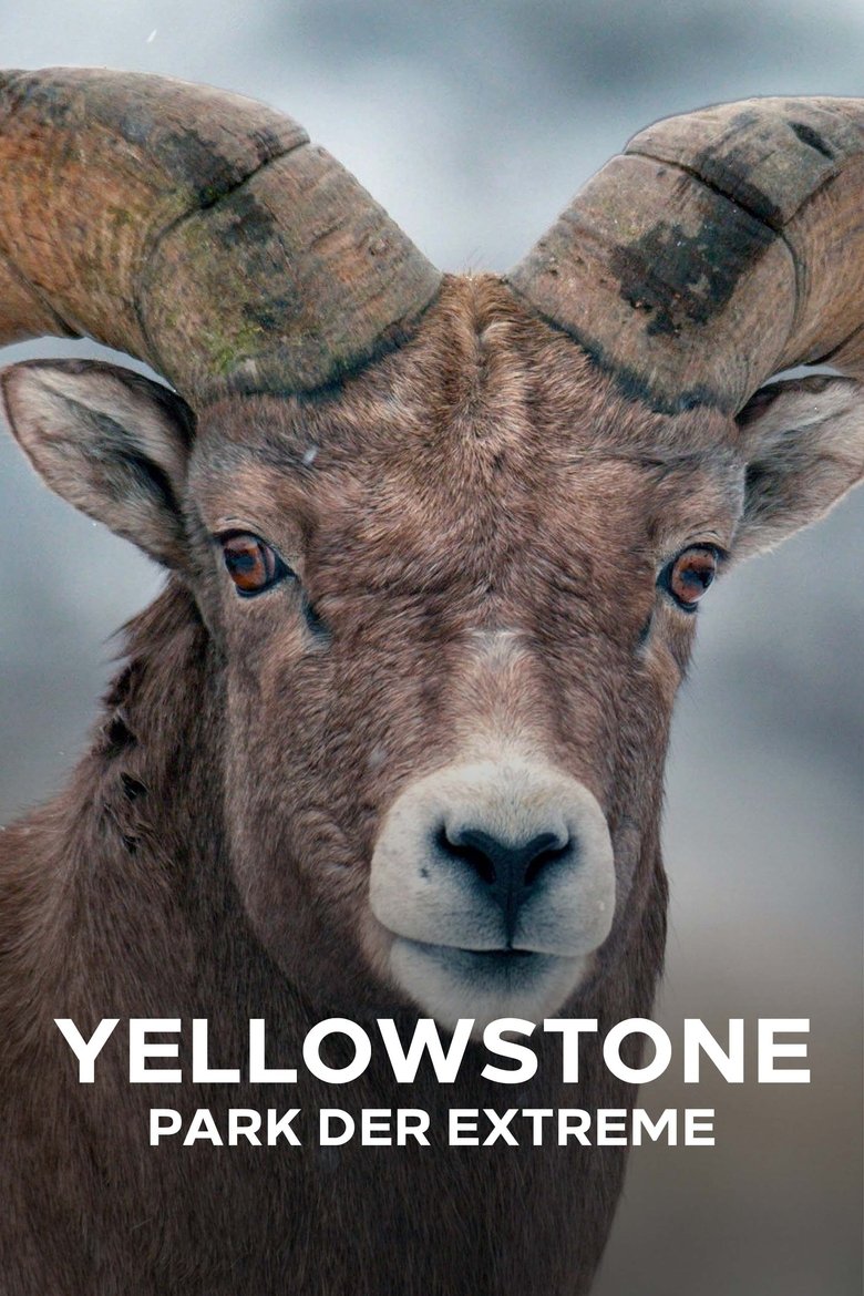 Episodes in Epic Yellowstone - Season 1 - Season 1 Poster of Episodes in Epic Yellowstone - Season 1 - Season 1