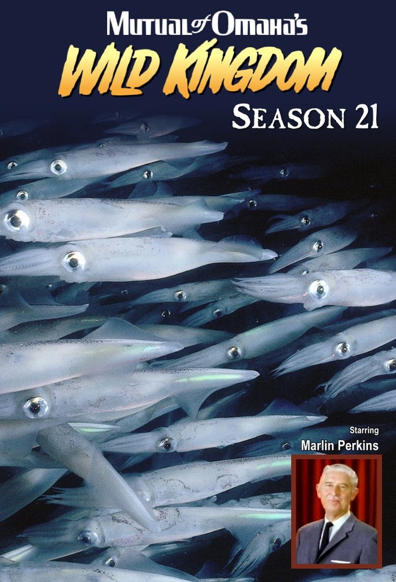 Episodes in Mutual Of Omaha's Wild Kingdom - Season 21 - Season 21 Poster of Episodes in Mutual Of Omaha's Wild Kingdom - Season 21 - Season 21