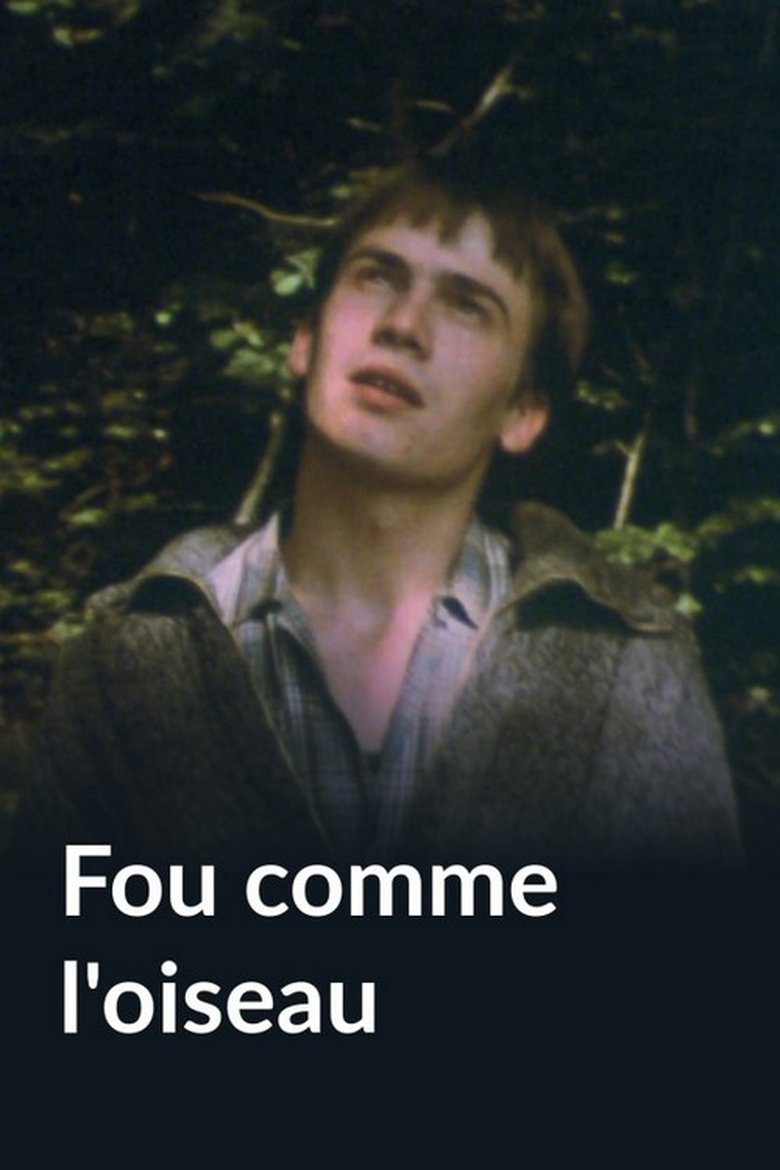 Fou comme l'oiseau Poster of Fou comme l'oiseau